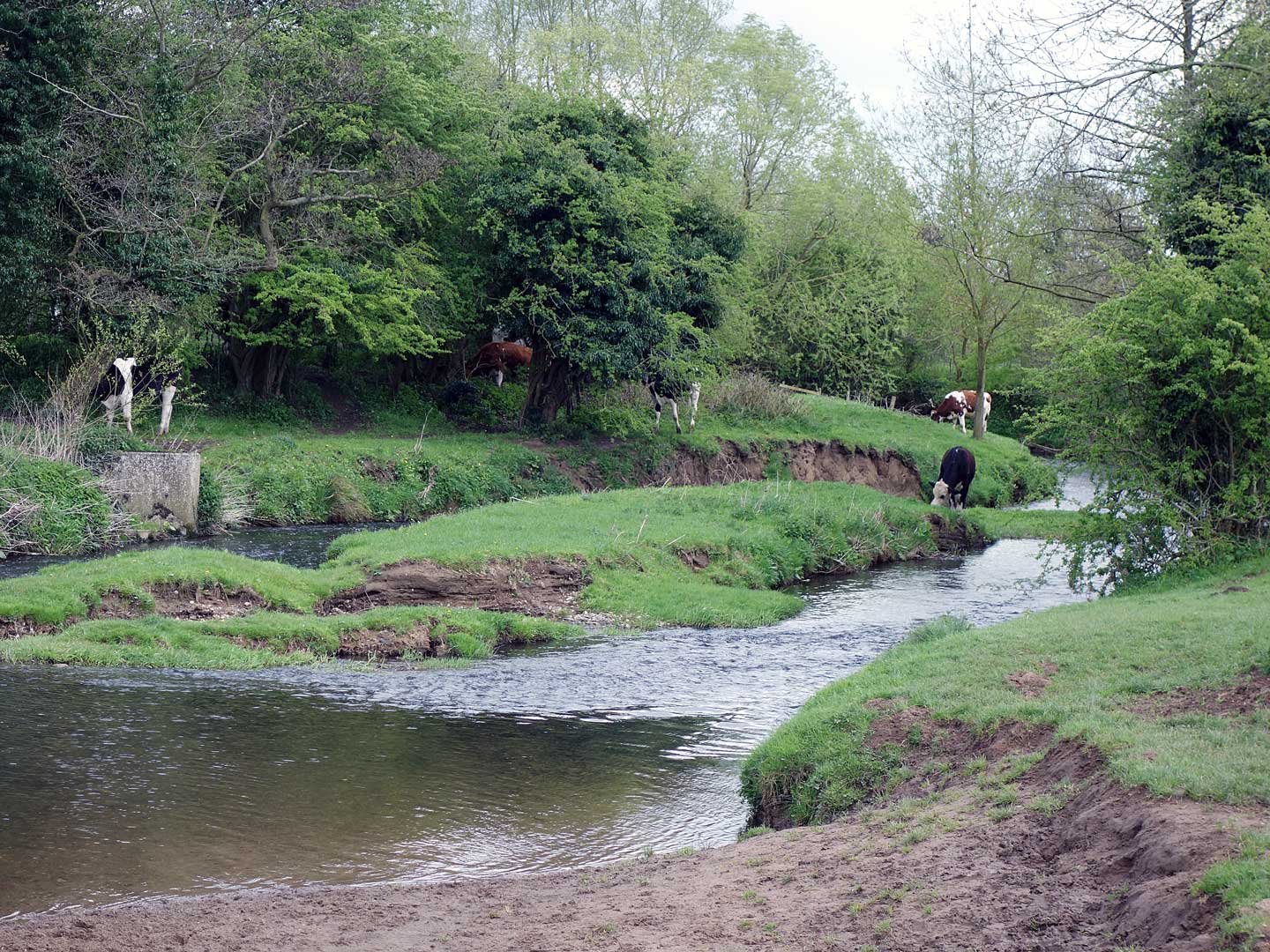 Wildlife John Aston Thirsk Tourist Information